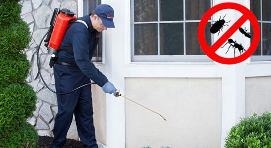 Marmaris Böcek ve Haşere İlaçlama böcek ilaçlama ve haşere kontrolü — ilaclama-tr.com